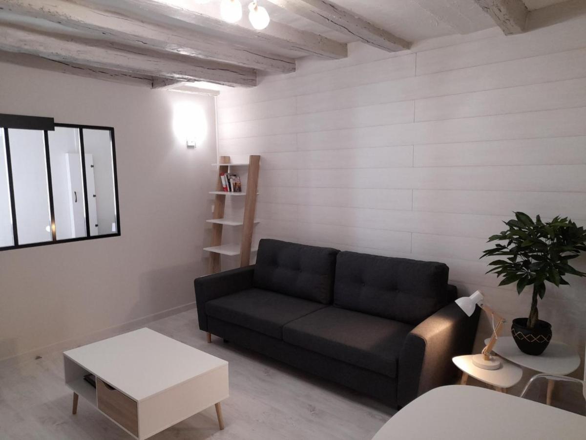 Le Cosy D'Amboise Apartment Bagian luar foto