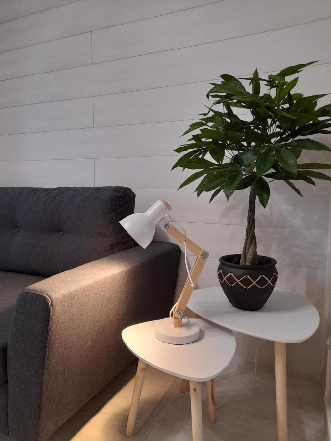 Le Cosy D'Amboise Apartment Bagian luar foto